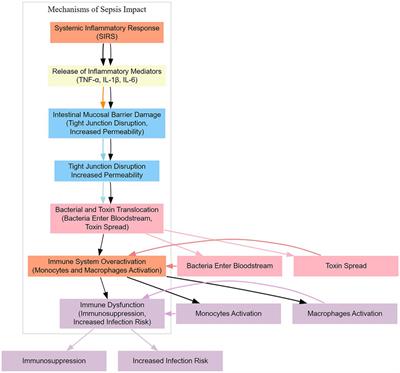 Enhancing sepsis therapy: the evolving role of enteral nutrition